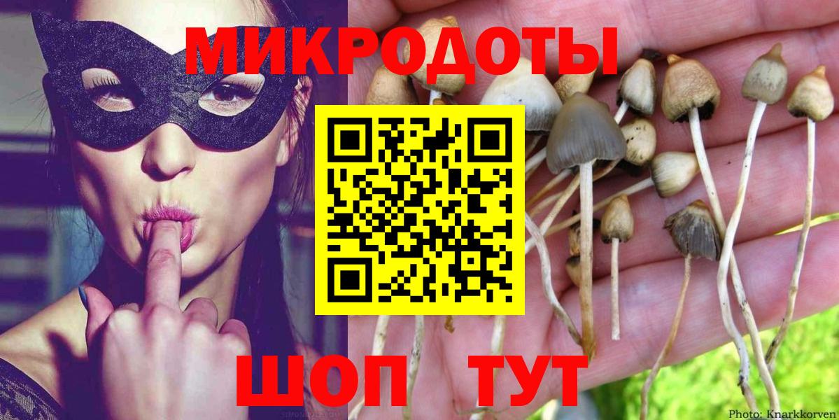 Псилоцибиновые грибы Psilocybe Смоленск